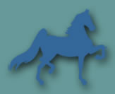 Horse_Logo